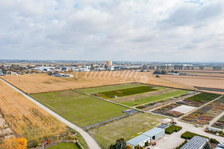 Działka Sprzedaż Ożarów Mazowiecki 9